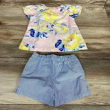 Carter's Floral 2Pc Dress & Bloomers sz 9M - Me 'n Mommy To Be