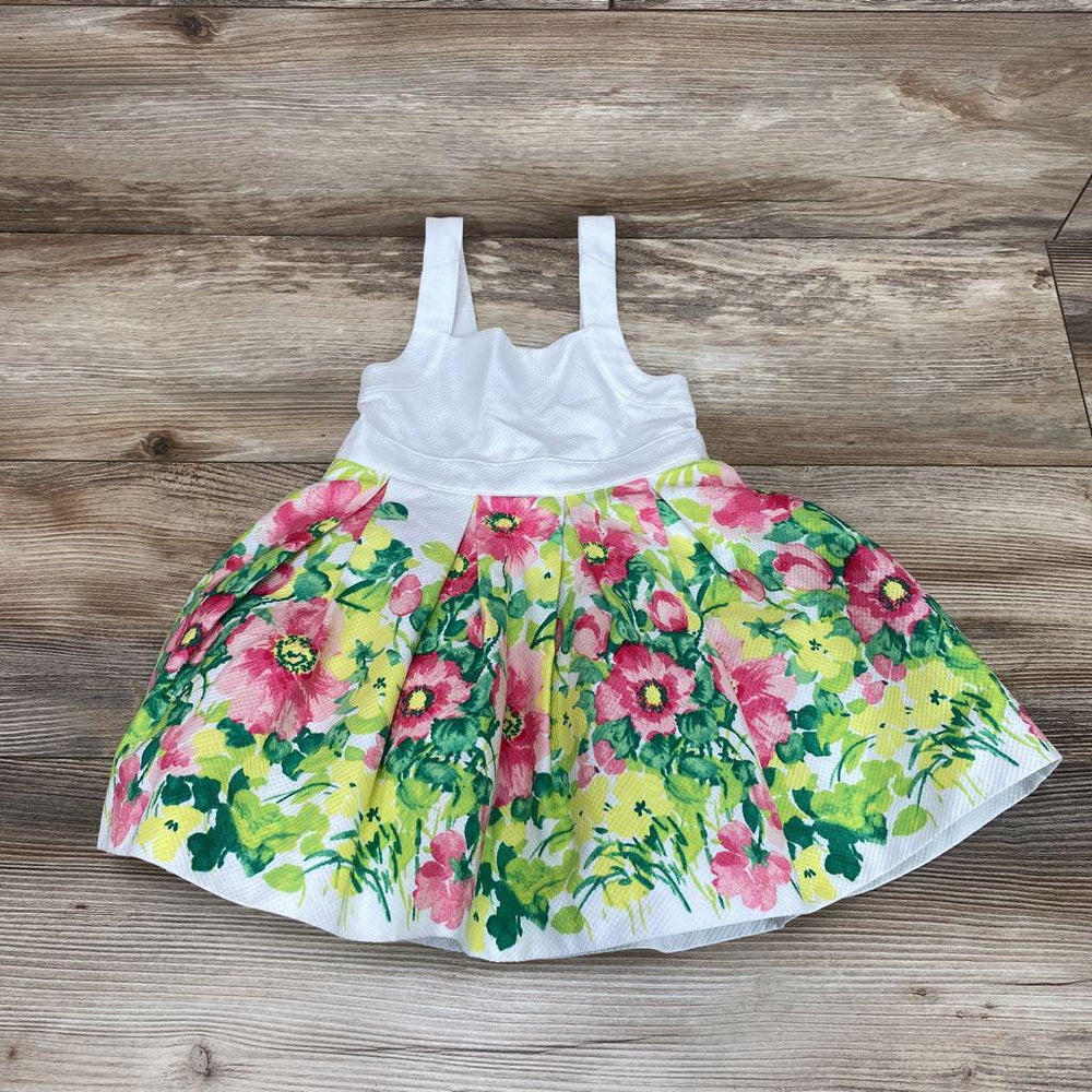 NEW Janie & Jack Floral Border Dress sz 6-12m - Me 'n Mommy To Be