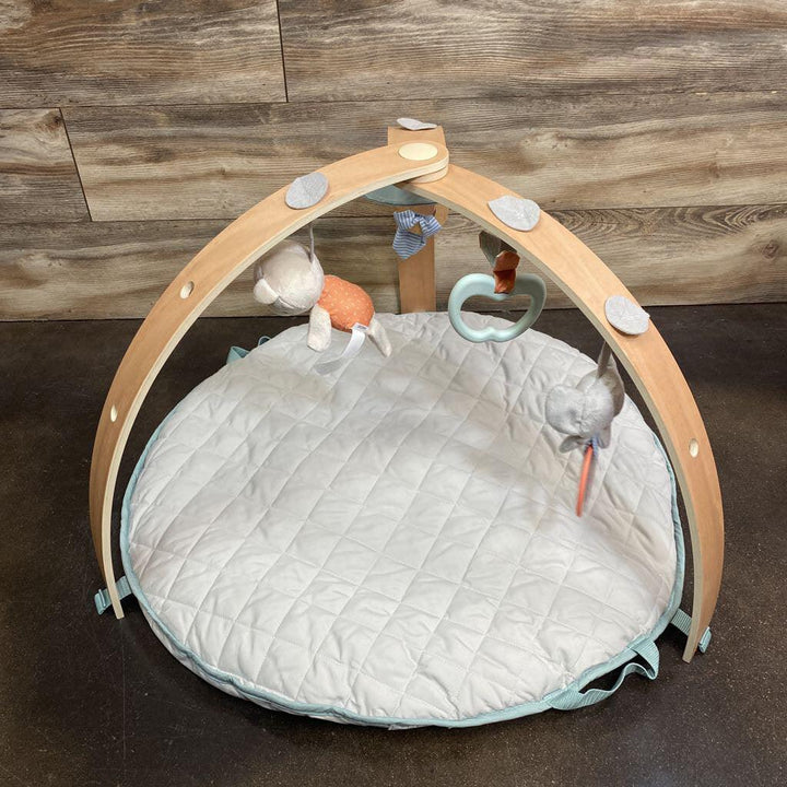 Ingenuity Cozy Spot Reversible Duvet Activity Gym - Me 'n Mommy To Be