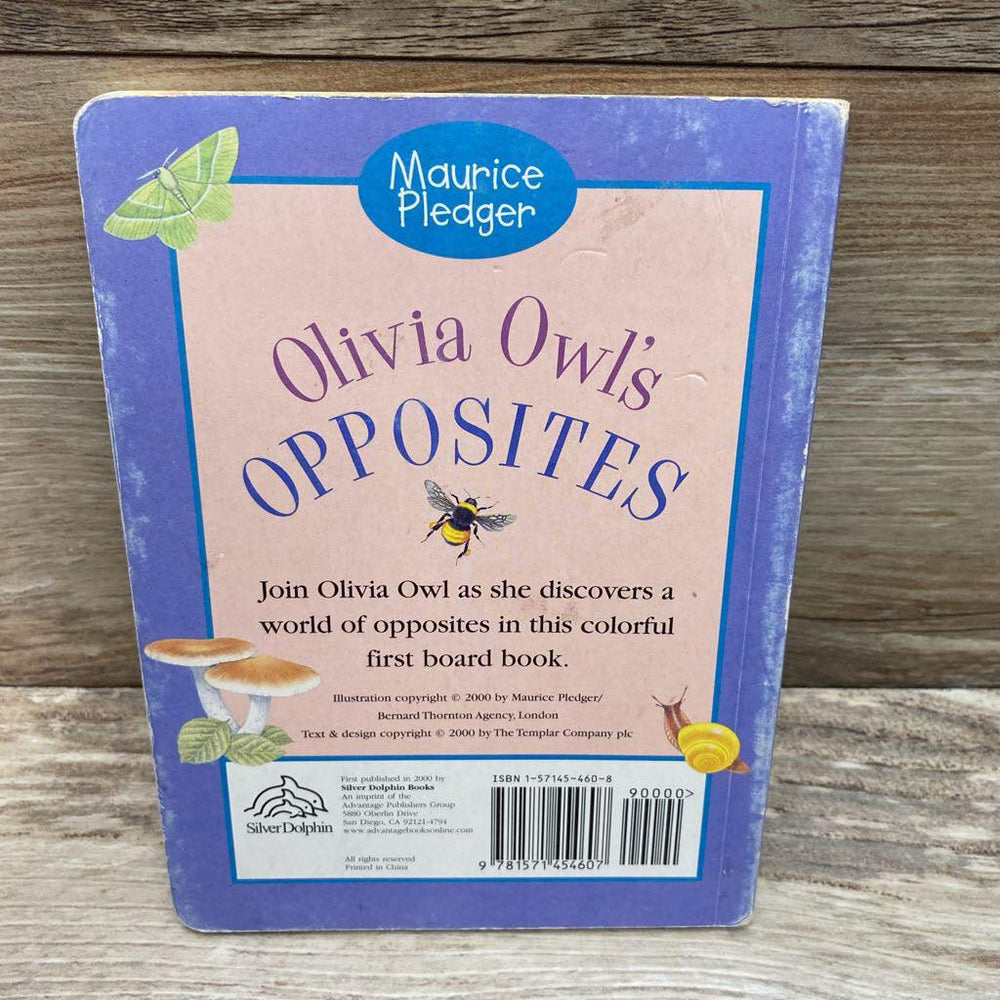 Olivia Owl's Opposites Board Book - Me 'n Mommy To Be